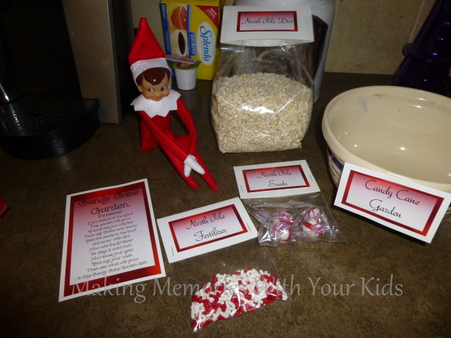 Candy Cane Garden with Printables