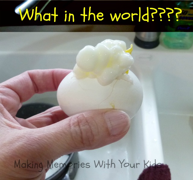 Wild Gizmo Lets You Scramble Eggs Inside Their Shells