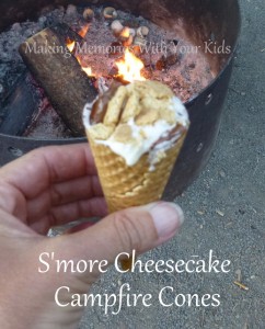 Campfire S'mores Cheesecake Cones