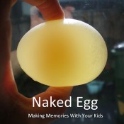 naked egg