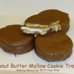 Peanut Butter Mallow Cookie Treats
