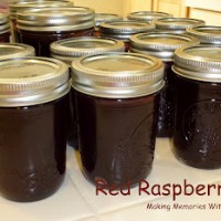 red raspberry jelly