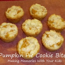 Pumpkin Pie Cookie Bites