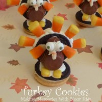 turkey cookies