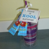 have a kool summer gift idea