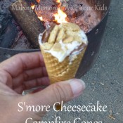 s'more cheesecake campfire cones