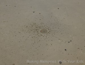 water mark in the sand