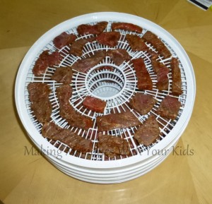 beef jerky in food dehydrator