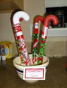 Candy Cane Garden