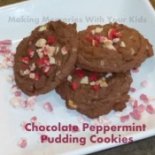 Chocolate Peppermint Pudding Cookies