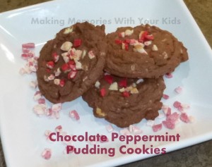 Chocolate Peppermint Pudding Cookies