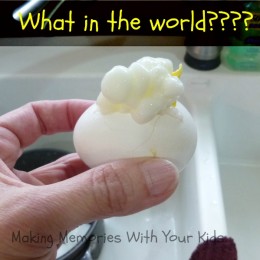 How to Scramble an Egg Inside the Shell….. NOT