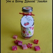 For a Berry Special Teacher Teacher Appreciation Gift Idea
