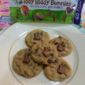 Iddy Biddy Bunnies Cookies for Easter