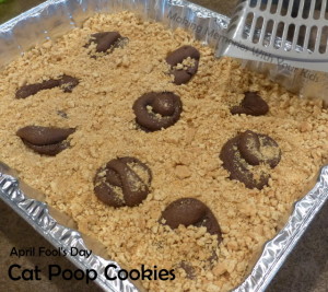 Cat Poop Cookies for April Fool's Day - Fun Food For Kids
