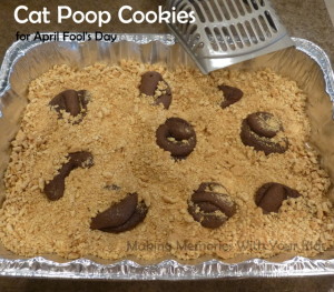 Cat Poop Cookies for April Fool's Day - Fun Food For Kids