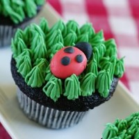 Lady Bug Cupcakes