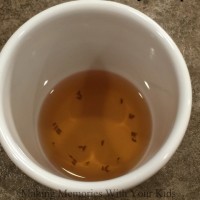 Natural Fruit Fly Trap